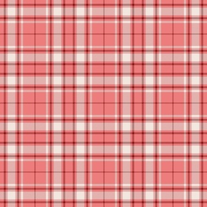 Tartan Plaid - carnation pink with white cement and deep red