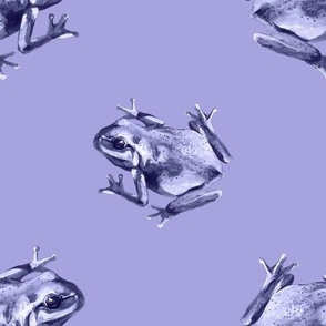 (large) Frogs on a lilac background