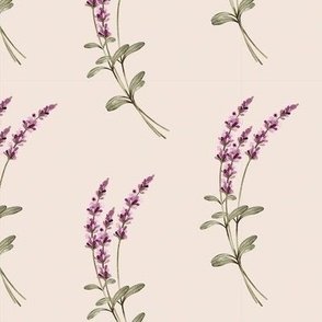 lavender watercolor herb garden on dark cream