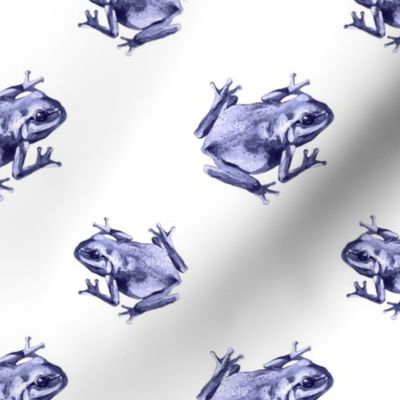 (small) Frogs on a white background