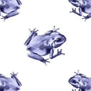 (small) Frogs on a white background