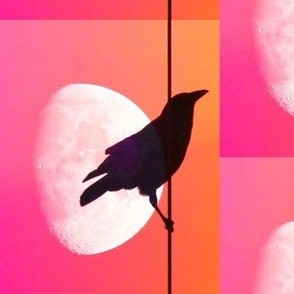 Favorite Things - The Crow and The Moon 