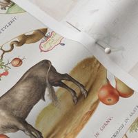 The Model Book of Calligraphy Joris Hoefnagel - Mira Calligraphiae Monumenta- 
hand painted antiqued domestic  flemish farm animals vintage cow donkey goat sheep pig  flowers - beige