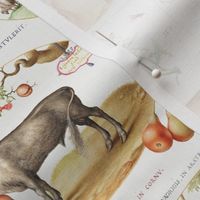 The Model Book of Calligraphy Joris Hoefnagel - Mira Calligraphiae Monumenta- 
hand painted antiqued domestic  flemish farm animals vintage cow donkey goat sheep pig  flowers - light 
