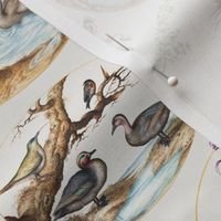 The Model Book of Calligraphy Joris Hoefnagel - Mira Calligraphiae Monumenta- 
hand painted antiqued native  flemish birds vintage ducks flowers beige