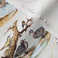 The Model Book of Calligraphy Joris Hoefnagel - Mira Calligraphiae Monumenta- 
 hand painted antiqued native  flemish birds vintage ducks flowers - light 