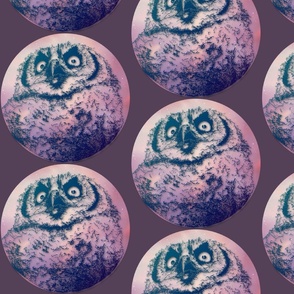 Owls in balls!