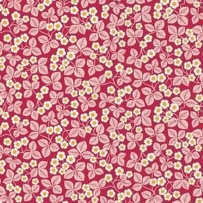 Cinquefoil flowers - Large Scale - Viva Magenta Pale Dogwood Pantone 2023 - Floral Flowers