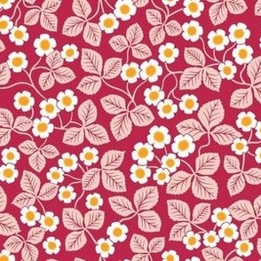 Cinquefoil flowers - Large Scale - Viva Magenta Pale Dogwood Pantone 2023 - Floral Flowers