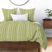 White Sketch Stripes on Avocado Green Background