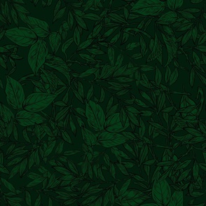 Dark green forest leaf