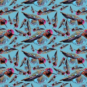 Eccentric Hummingbird Pattern