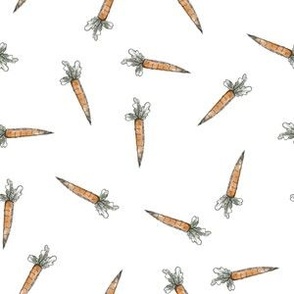 Sketchy Carrots
