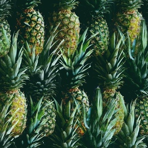 Pineapple Paradise (large scale) 