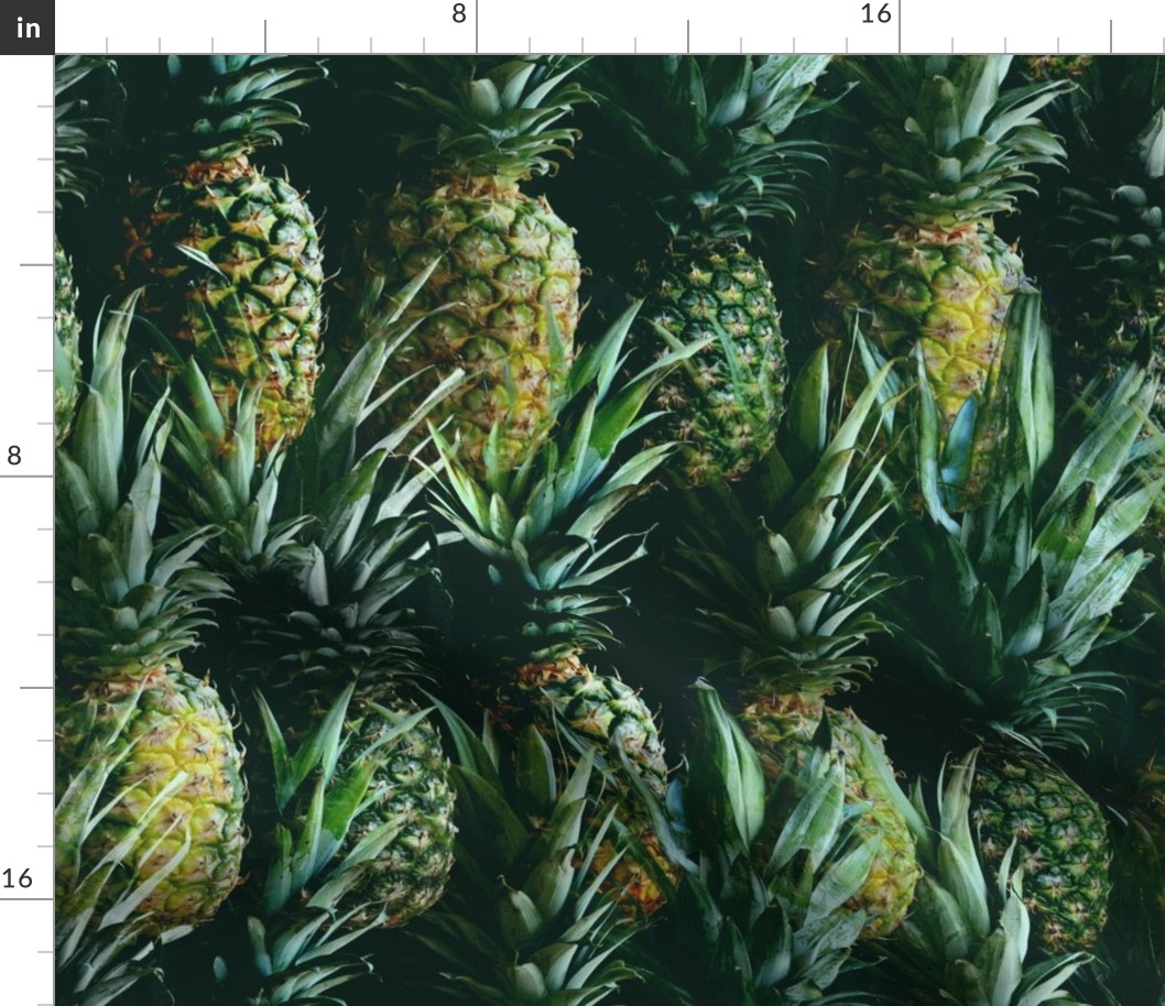 Pineapple Paradise (large scale) 
