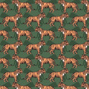 Tiger (small scale)