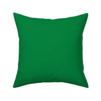 Notre Dame colors - Solid Color Coordinate - Irish Green