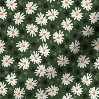 Daisy Clovers