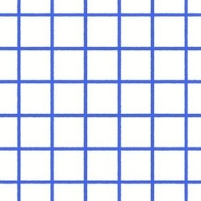 Mod Blue Periwinkle Gingham (white) tiny