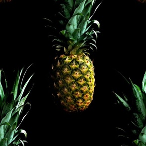 Pineapple Portrait (JUMBO scale)  