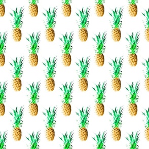 Pineapples! (small scale) 