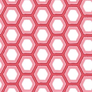 Medium Scale Dark Pink Light Pink and White honeycomb 8 x 8