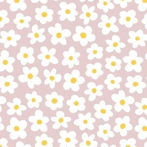 Daisies - Pink Background