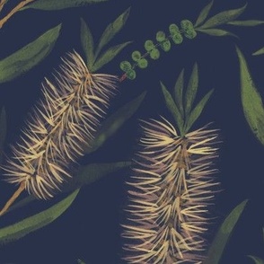 Large Watercolor Australian Yellow Bottle Brush Flowers with Dulux Ahoy Midnight Blue Background