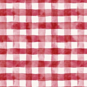 Plaid check gingham red and white kitchen towel design. 