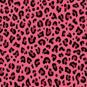 ★ LEOPARD PRINT in CAMELLIA ROSE + VIVA MAGENTA ★ Small Scale / Collection : Leopard spots – Punk Rock Animal Print 