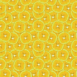 Lemon Slices