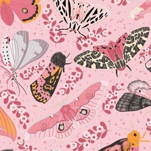 Pink Moths - Pink Large