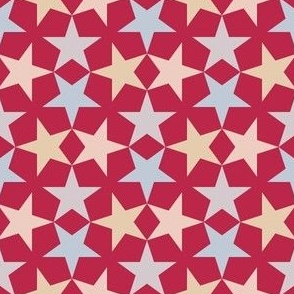 14066825 : S43Cstar : spoonflower0677