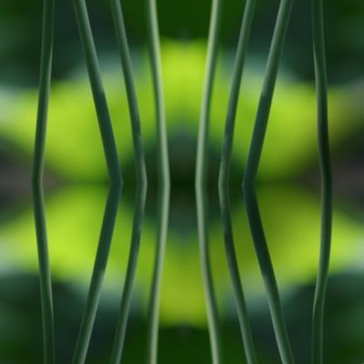 Green Stems_0327