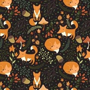 Cute foxes