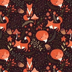 Cute foxes