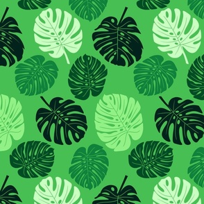 Monstera Leaves - Green