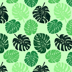 Monstera Leaves - Mint