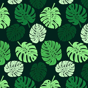 Monstera Leaves - Dark Green