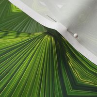 Green Palms_6583