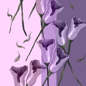 Medium Calla Lilies Pink Purple