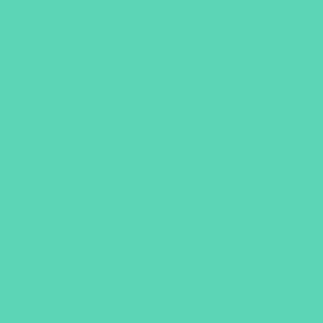 Sea foam green GROOVY coordinates -HEX 7ed0b7 - 