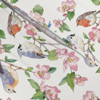 Watercolor Songbirds White background