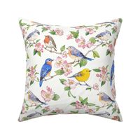 Watercolor Songbirds White background