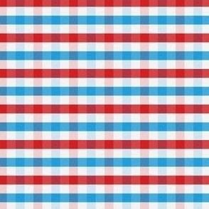 mini scall red, white, and blue gingham