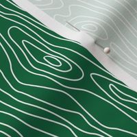 Smaller Scale Woodgrain Texture in Emerald