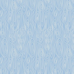 Smaller Scale Woodgrain Texture in Sky Blue