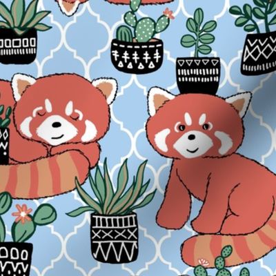 Red Panda & Potted Succulent Party on Sky Blue - custom request