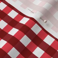 Alpine Gingham in Red