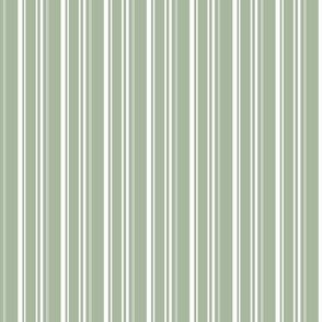 vertical stripes - sage